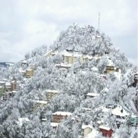 Book Shimla Tour Packages Online in Best Price 