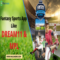 Launch your own Fantasy Sports App Like Dream11 or MPL